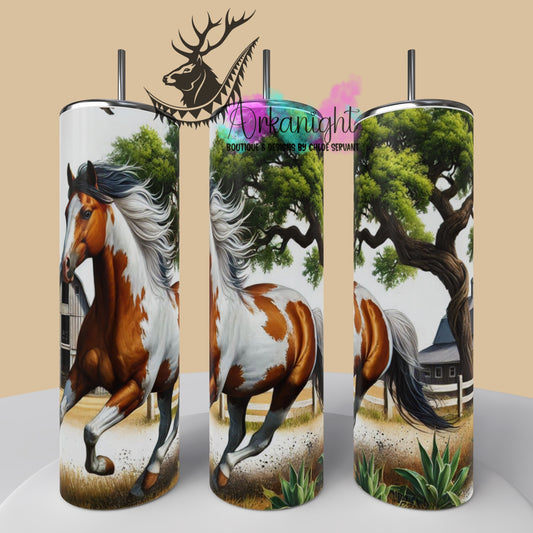 Numérique - Collection Western 2025 - 56