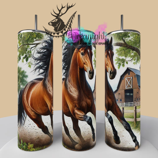 Numérique - Collection Western 2025 - 57