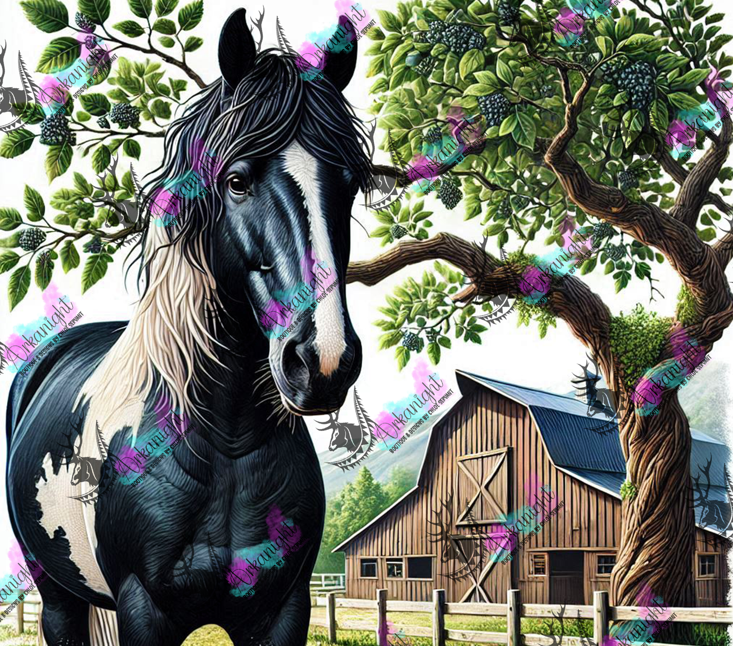 Numérique - Collection Western 2025 - 44