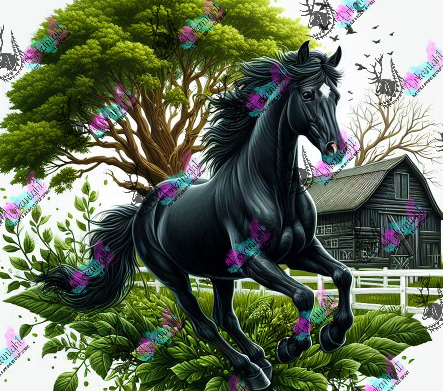 Numérique - Collection Western 2025 - 47