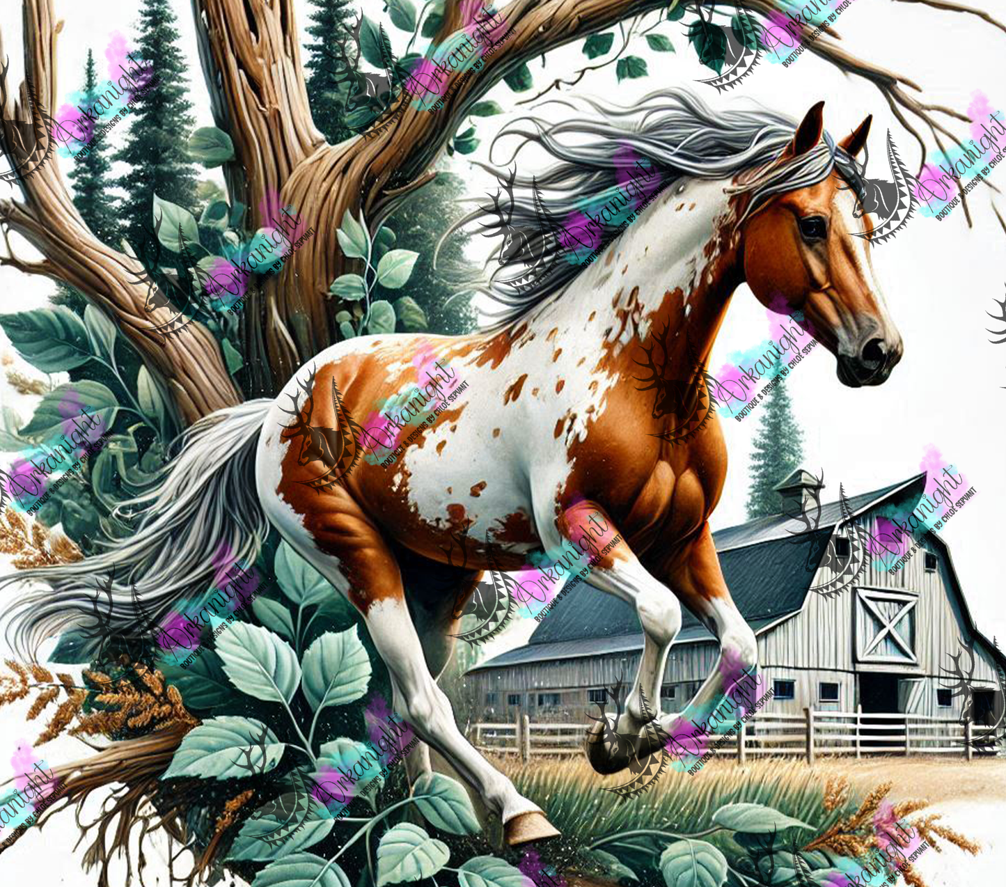 Numérique - Collection Western 2025 - 49