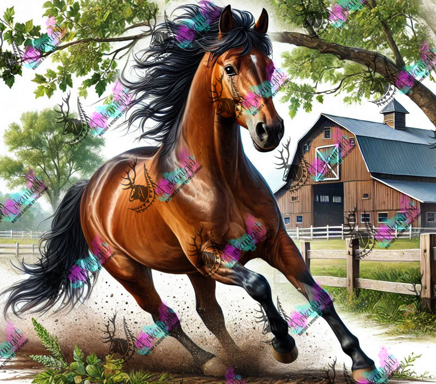 Numérique - Collection Western 2025 - 57