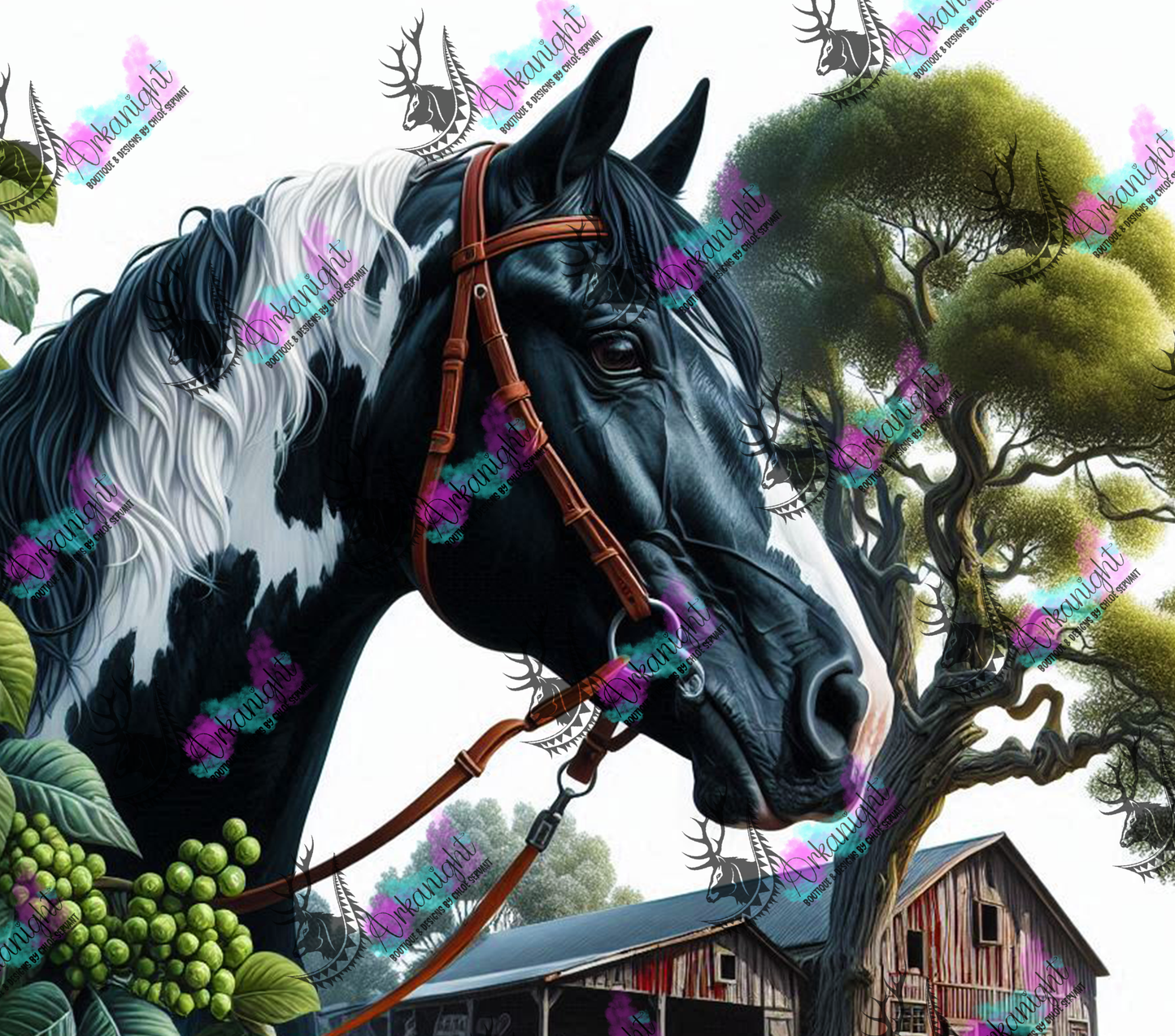 Numérique - Collection Western 2025 - 58