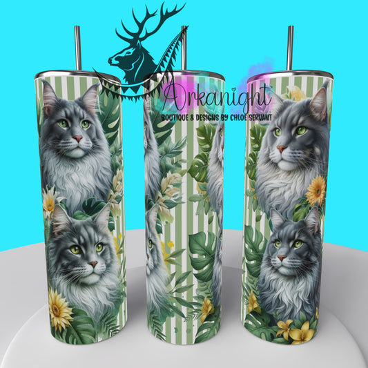 Gourde sur commande - Collection Monstera & Chat 2025 - Maine Coon Gris