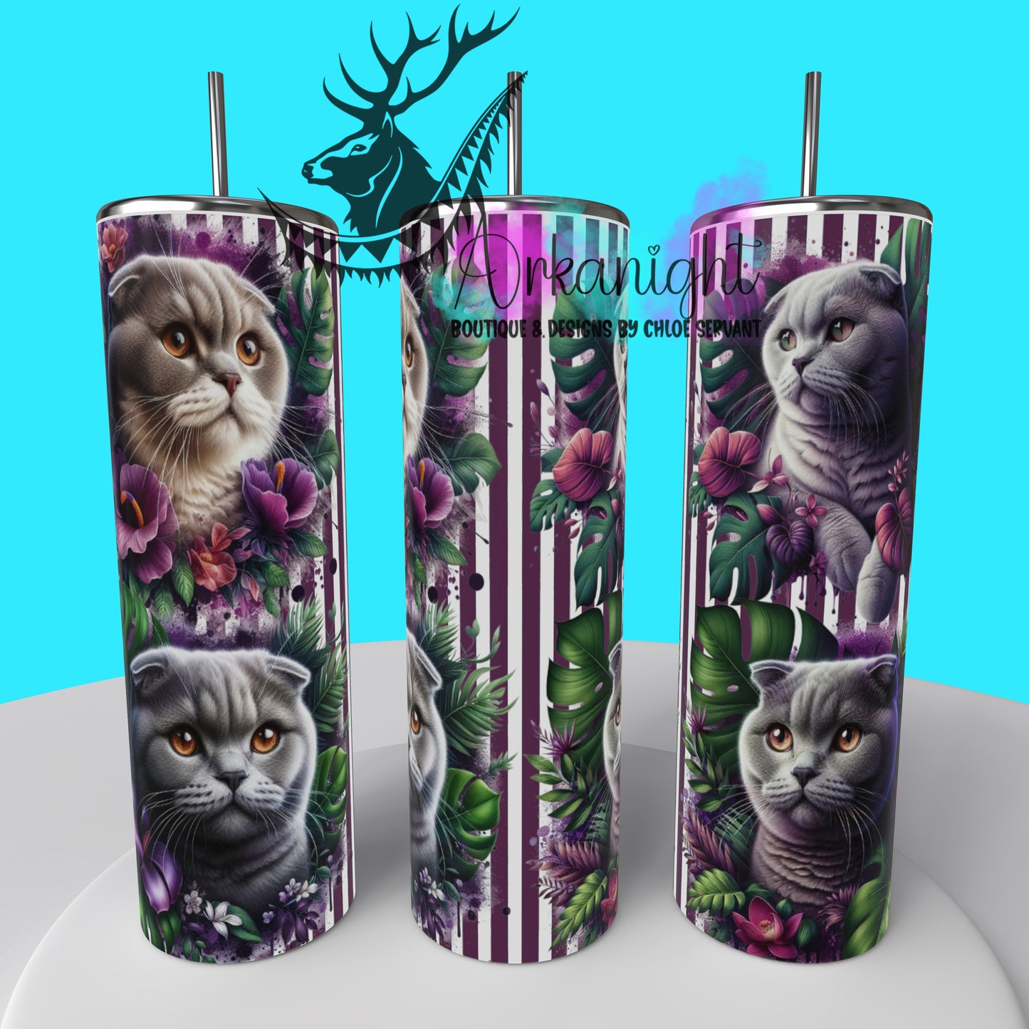 Gourde sur commande - Collection Monstera & Chat 2025 - Scottish Fold