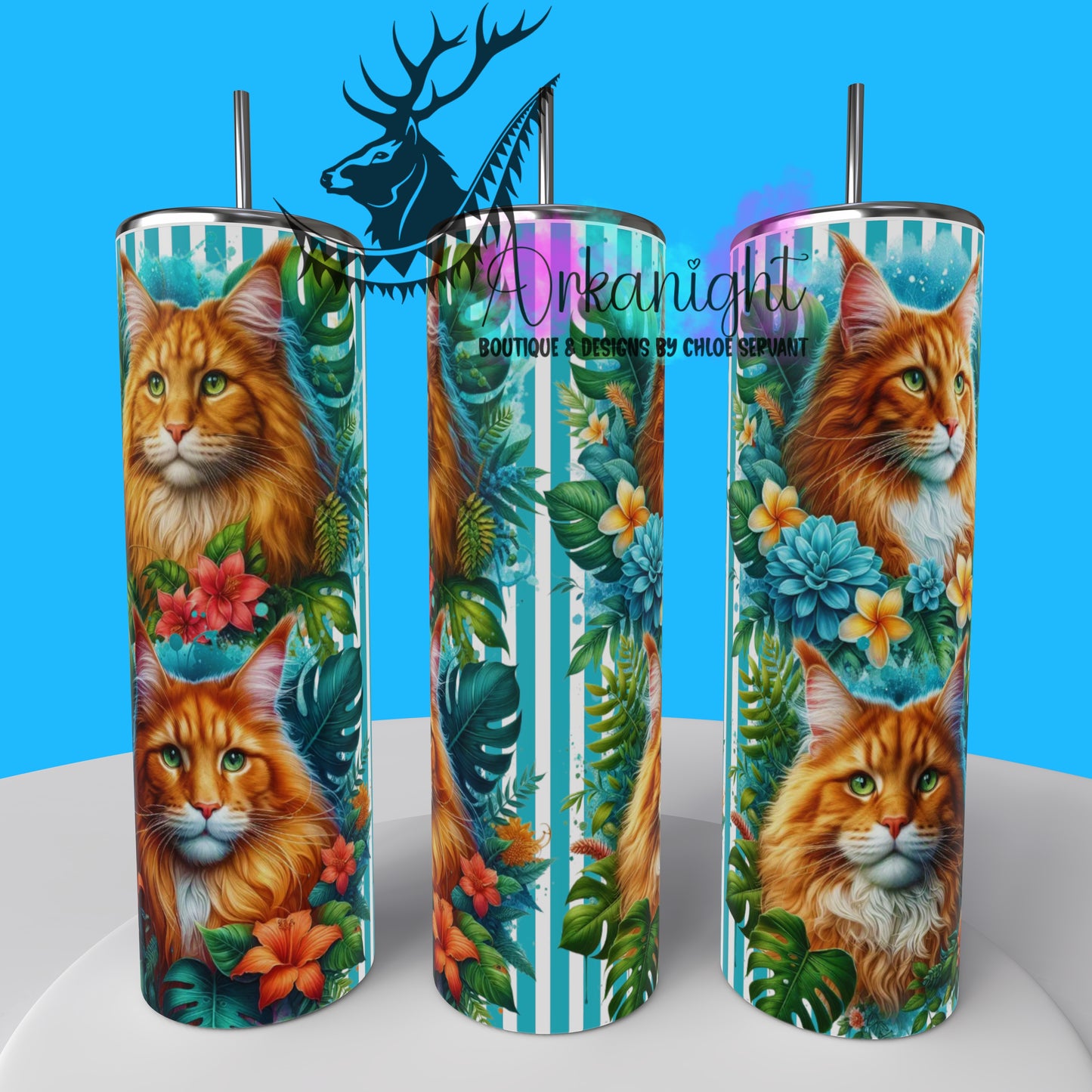 Gourde sur commande - Collection Monstera & Chat 2025 - Maine Coon Roux