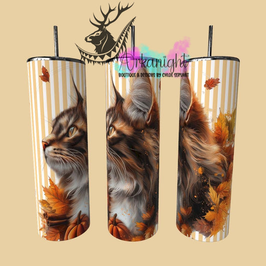 Gourde sur commande - Collection Automne 2025 - Maine Coon - 02