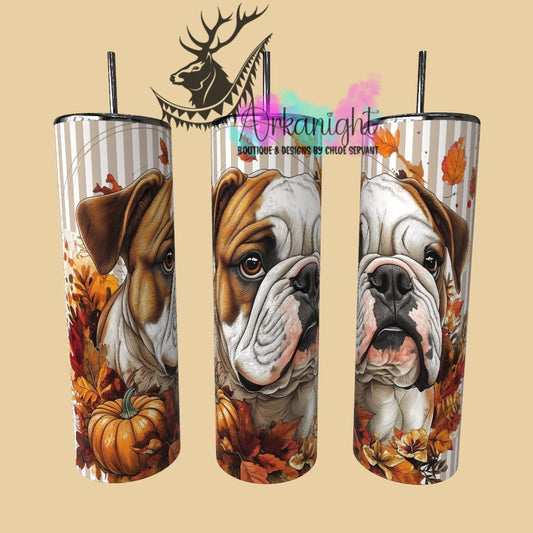 Gourde sur commande - Collection Automne 2025 - English Bulldog