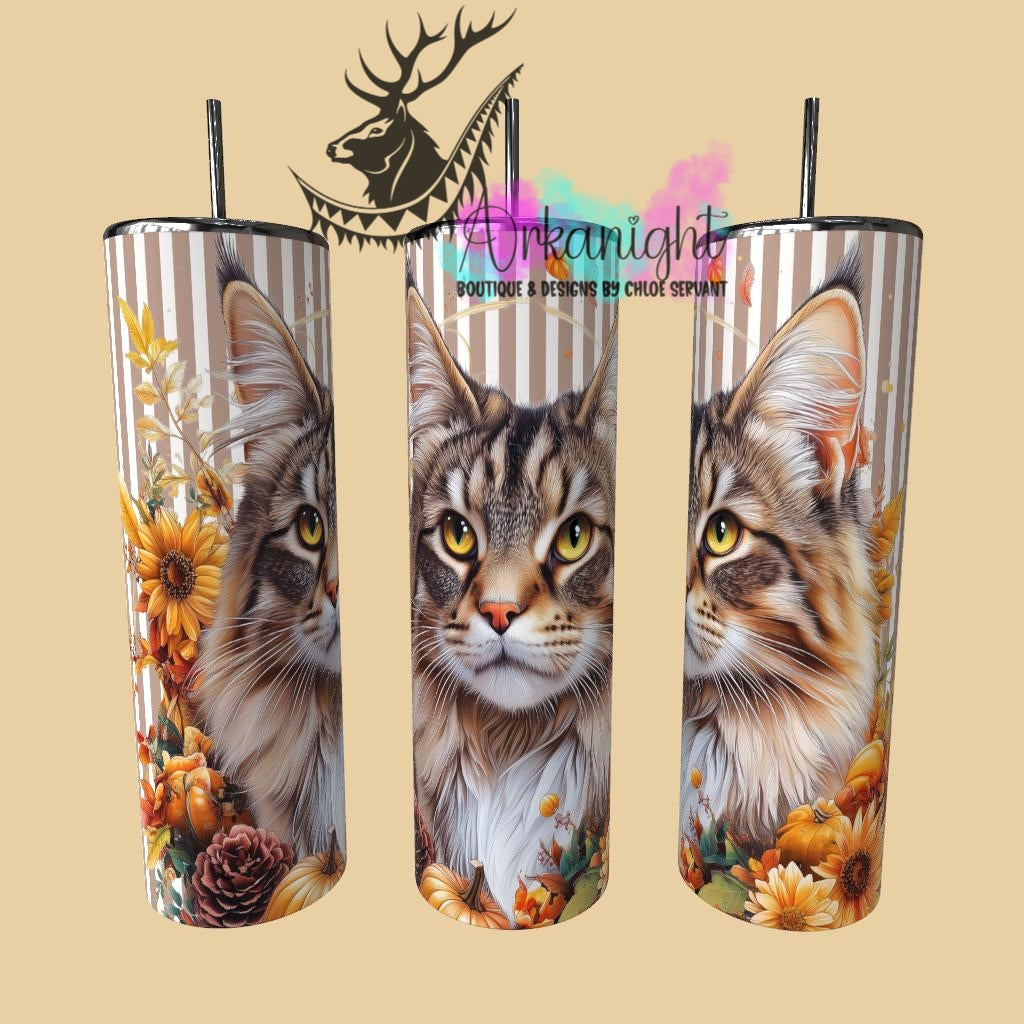 Gourde sur commande - Collection Automne 2025 - Maine Coon - 01