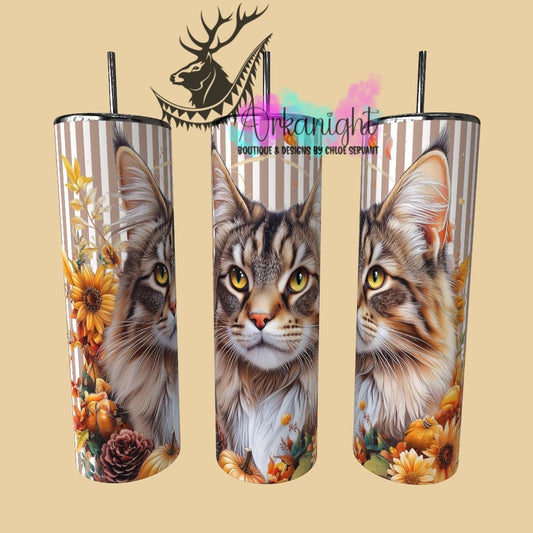 Gourde sur commande - Collection Automne 2025 - Maine Coon - 01
