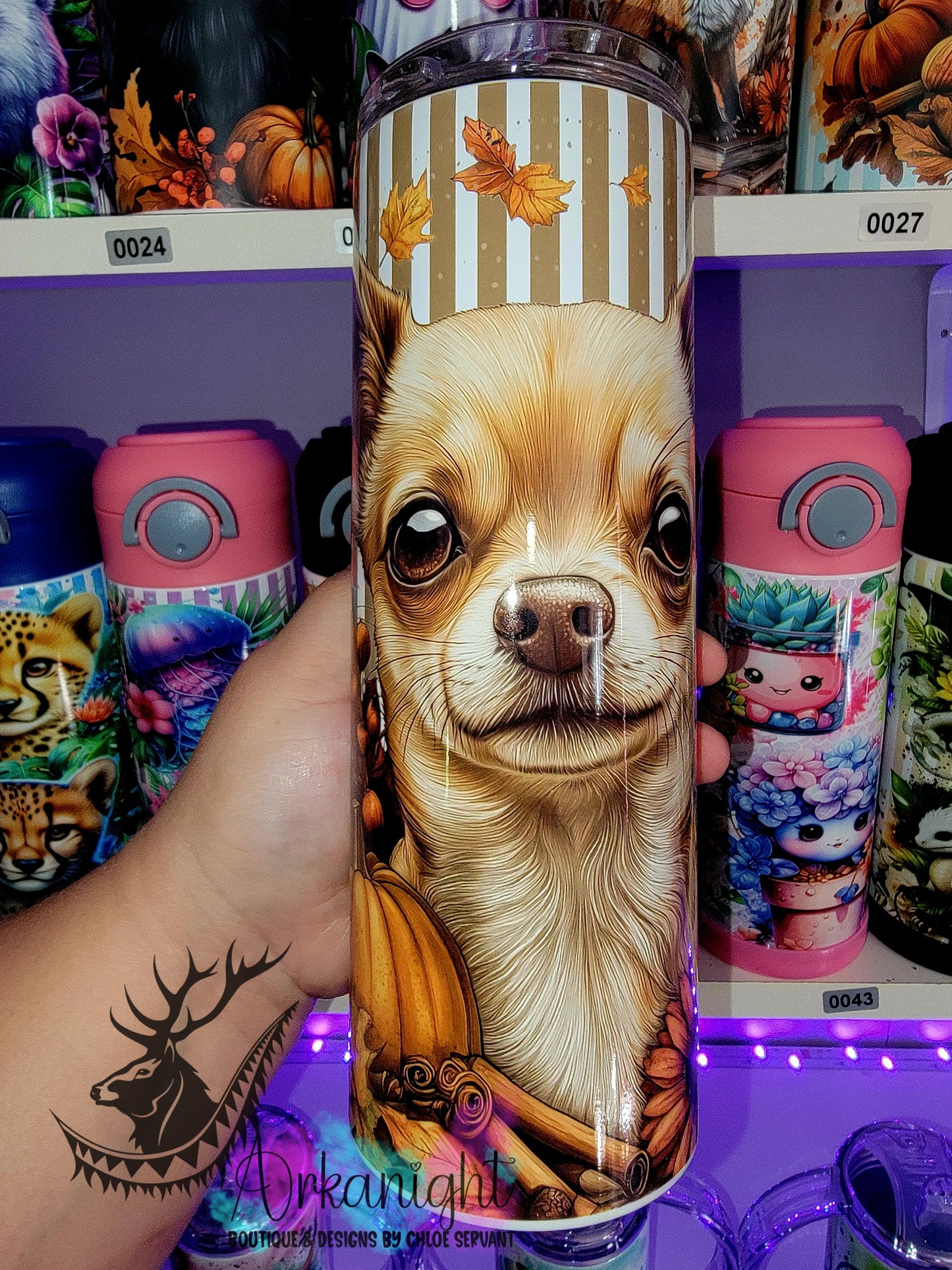 Gourde sur commande - Collection Automne 2025 - Chihuahua Blond