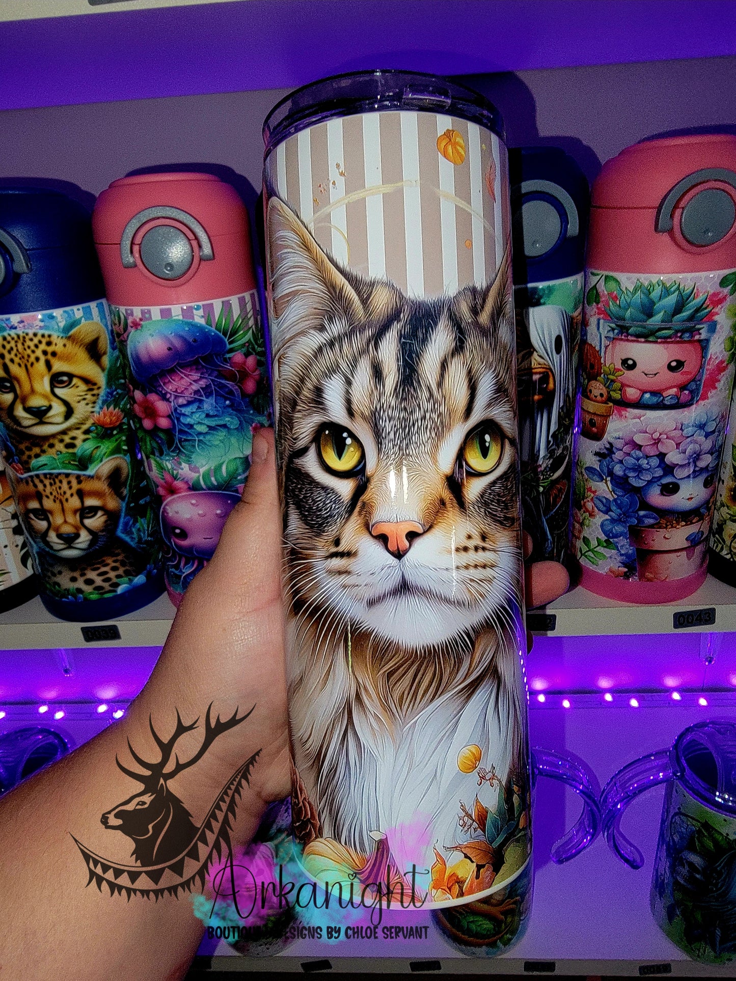 Gourde sur commande - Collection Automne 2025 - Maine Coon - 01