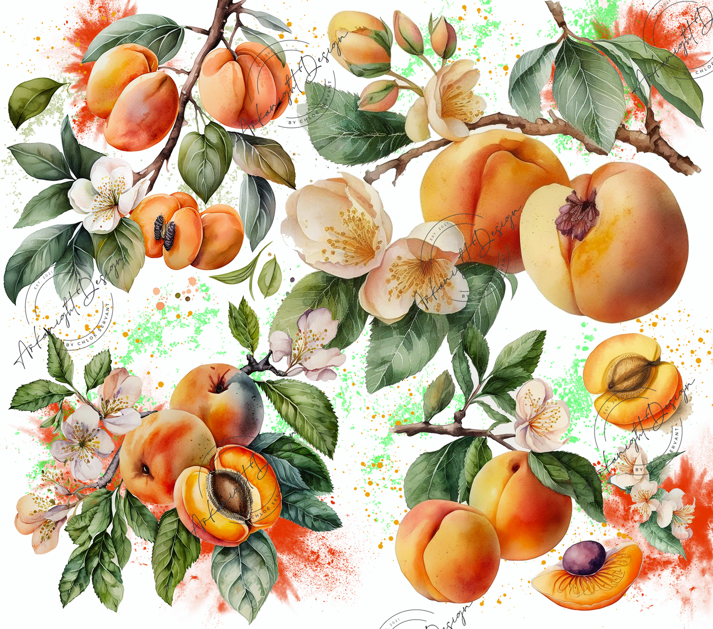 Apricot