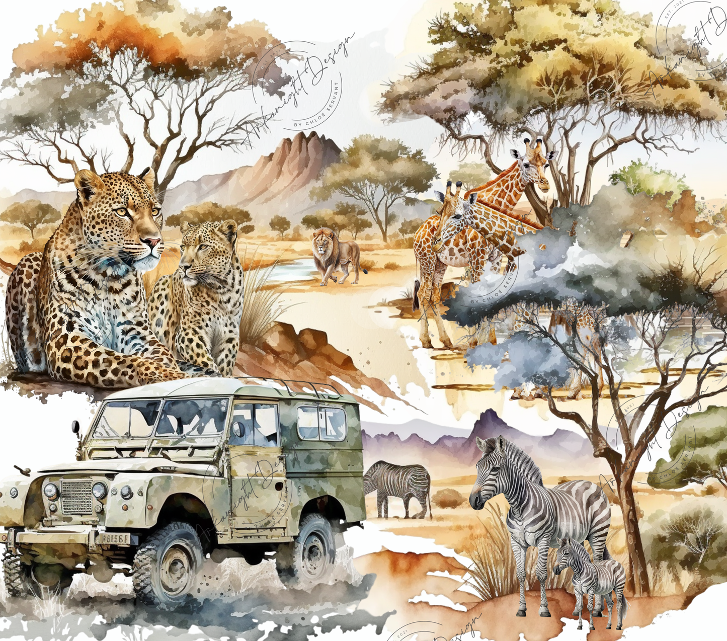 Safari