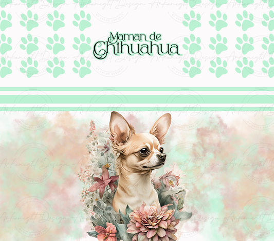 Maman de Chihuahua